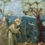 Sermon: The Seventeenth Sunday after Pentecost, Commemoration of St. Francis, October 6, 2019